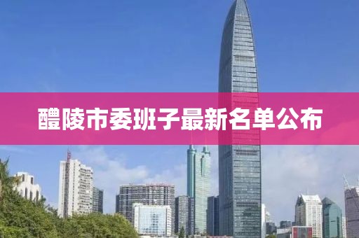 醴陵市委班子最新名單公布