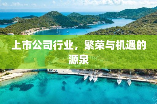 上市公司行業(yè)，繁榮與機(jī)遇的源泉