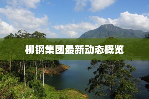 柳鋼集團(tuán)最新動(dòng)態(tài)概覽