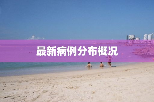 最新病例分布概況