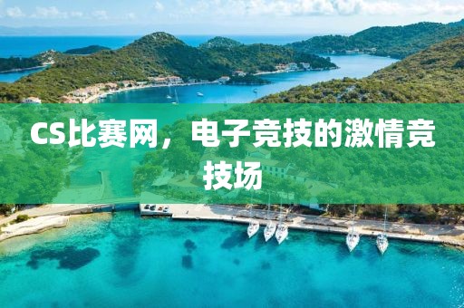 CS比賽網(wǎng)，電子競技的激情競技場