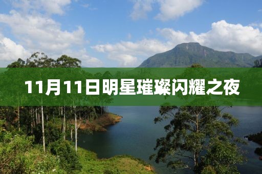 11月11日明星璀璨閃耀之夜