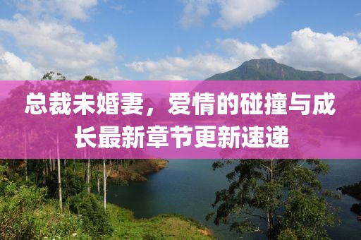 總裁未婚妻，愛情的碰撞與成長(zhǎng)最新章節(jié)更新速遞