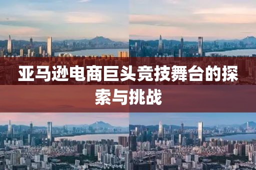 亞馬遜電商巨頭競技舞臺(tái)的探索與挑戰(zhàn)
