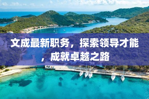 文成最新職務，探索領導才能，成就卓越之路