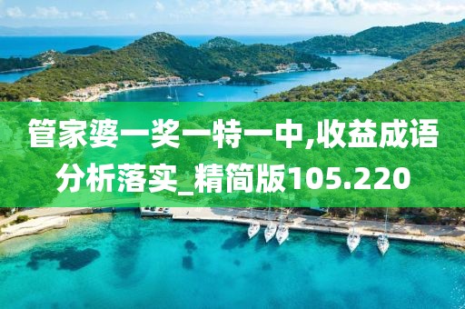 管家婆一獎一特一中,收益成語分析落實_精簡版105.220