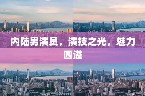 內(nèi)陸男演員，演技之光，魅力四溢