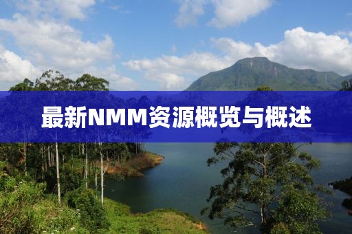 最新NMM資源概覽與概述