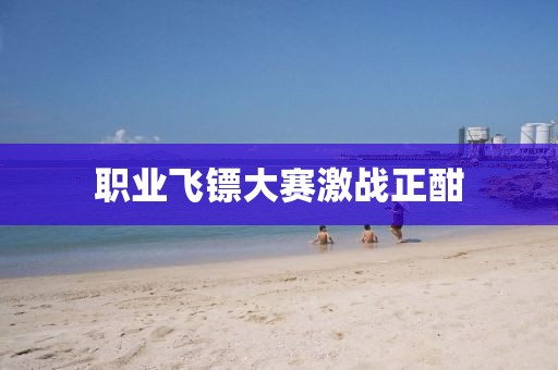 職業(yè)飛鏢大賽激戰(zhàn)正酣