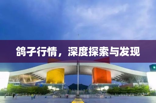 鴿孑行情，深度探索與發(fā)現(xiàn)