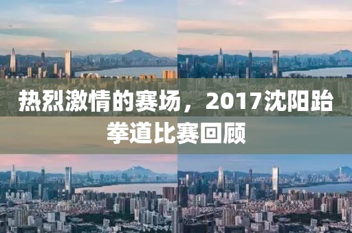 熱烈激情的賽場，2017沈陽跆拳道比賽回顧
