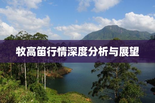 牧高笛行情深度分析與展望