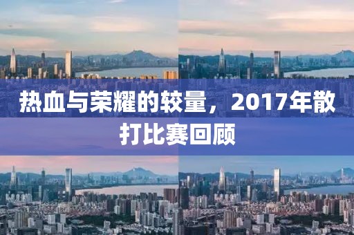 熱血與榮耀的較量，2017年散打比賽回顧