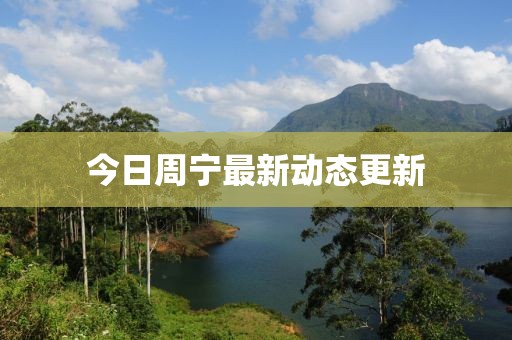 今日周寧最新動態(tài)更新