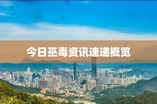 今日巫毒資訊速遞概覽