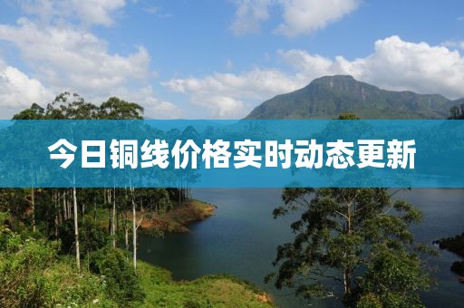 今日銅線價(jià)格實(shí)時(shí)動(dòng)態(tài)更新