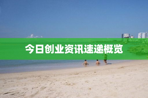今日創(chuàng)業(yè)資訊速遞概覽