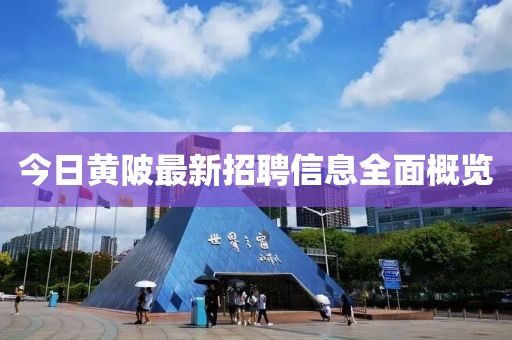 今日黃陂最新招聘信息全面概覽