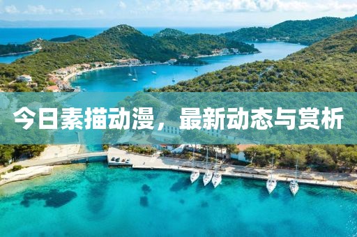 今日素描動(dòng)漫，最新動(dòng)態(tài)與賞析