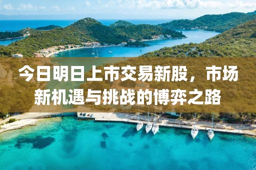 今日明日上市交易新股，市場(chǎng)新機(jī)遇與挑戰(zhàn)的博弈之路