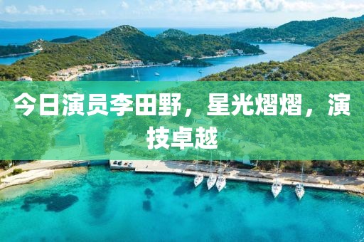今日演員李田野，星光熠熠，演技卓越