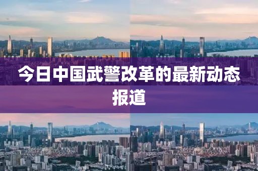 今日中國武警改革的最新動態(tài)報(bào)道