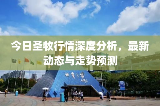 今日圣牧行情深度分析，最新動(dòng)態(tài)與走勢(shì)預(yù)測(cè)