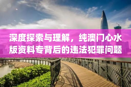 深度探索與理解，純澳門心水版資料專背后的違法犯罪問題
