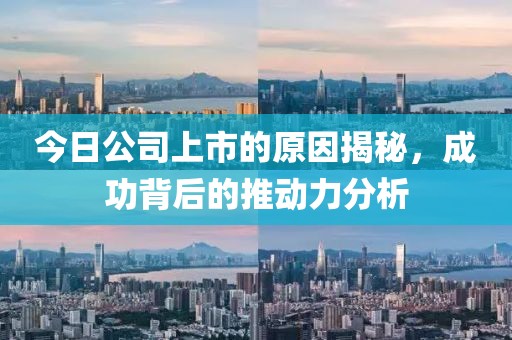 今日公司上市的原因揭秘，成功背后的推動(dòng)力分析