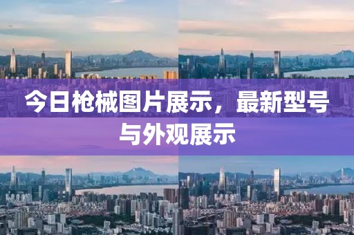 今日槍械圖片展示，最新型號(hào)與外觀展示