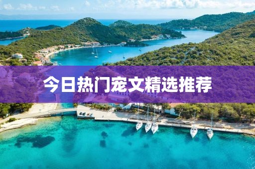 今日熱門寵文精選推薦
