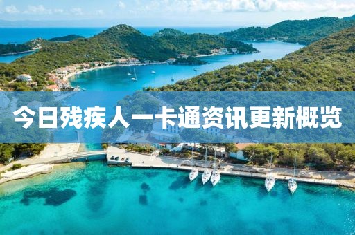 今日殘疾人一卡通資訊更新概覽