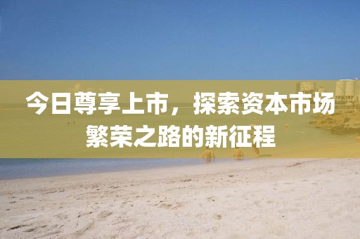 今日尊享上市，探索資本市場(chǎng)繁榮之路的新征程
