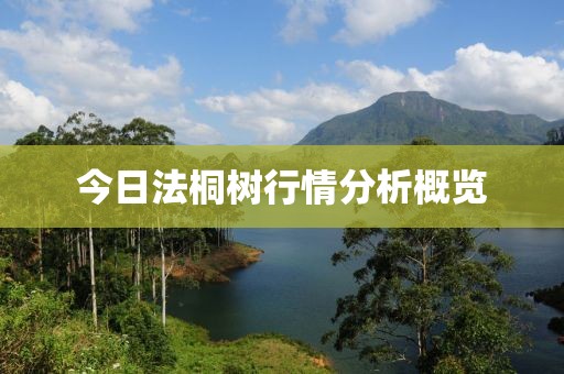 今日法桐樹行情分析概覽