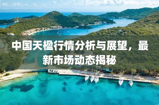 中國天楹行情分析與展望，最新市場動態(tài)揭秘