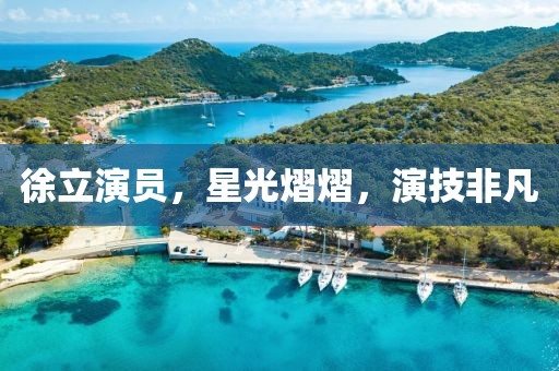 徐立演員，星光熠熠，演技非凡