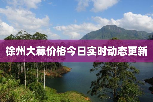 徐州大蒜價(jià)格今日實(shí)時(shí)動(dòng)態(tài)更新