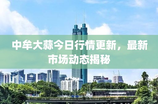 中牟大蒜今日行情更新，最新市場(chǎng)動(dòng)態(tài)揭秘