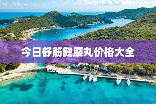 今日舒筋健腰丸價(jià)格大全