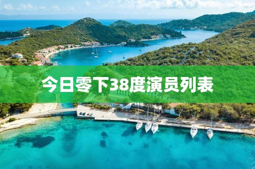 今日零下38度演員列表