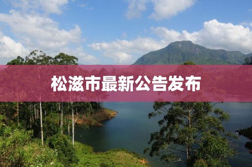 松滋市最新公告發(fā)布