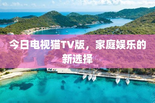 今日電視貓TV版，家庭娛樂的新選擇