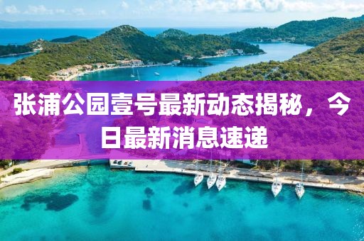 張浦公園壹號最新動態(tài)揭秘，今日最新消息速遞