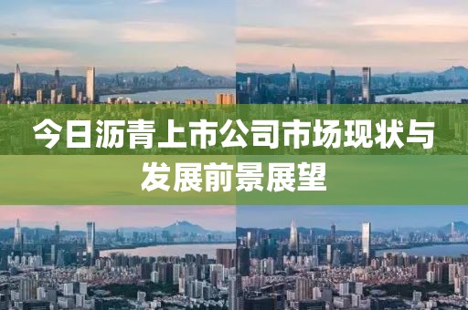 今日瀝青上市公司市場現(xiàn)狀與發(fā)展前景展望