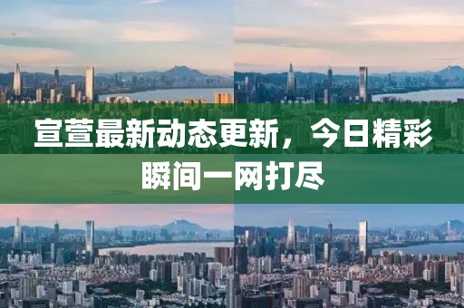 宣萱最新動態(tài)更新，今日精彩瞬間一網(wǎng)打盡