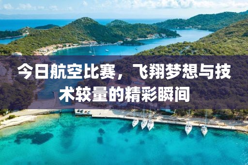 今日航空比賽，飛翔夢(mèng)想與技術(shù)較量的精彩瞬間