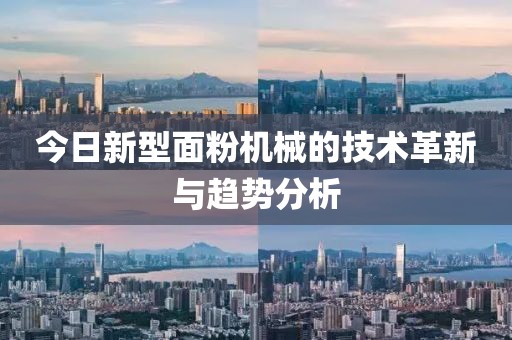 今日新型面粉機(jī)械的技術(shù)革新與趨勢(shì)分析