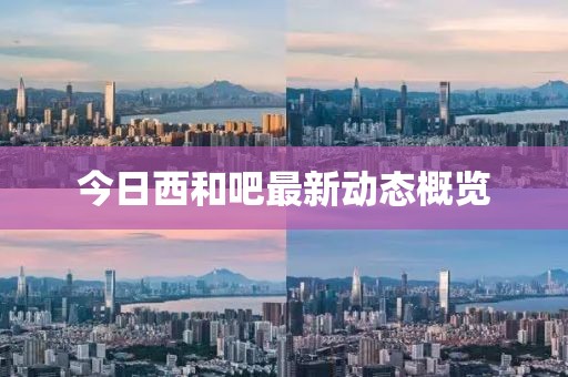 今日西和吧最新動態(tài)概覽