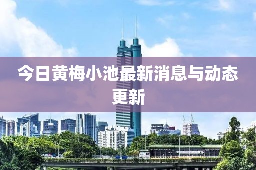 今日黃梅小池最新消息與動態(tài)更新