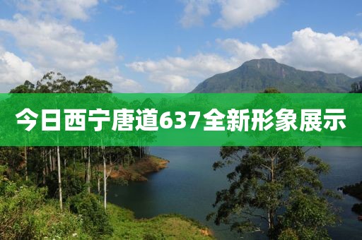 今日西寧唐道637全新形象展示